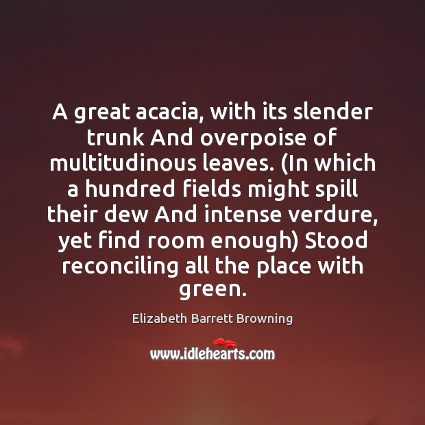 A great acacia, with its slender trunk And overpoise of multitudinous leaves. ( Elizabeth Barrett Browning Picture Quote