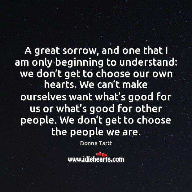 A great sorrow, and one that I am only beginning to understand: Donna Tartt Picture Quote