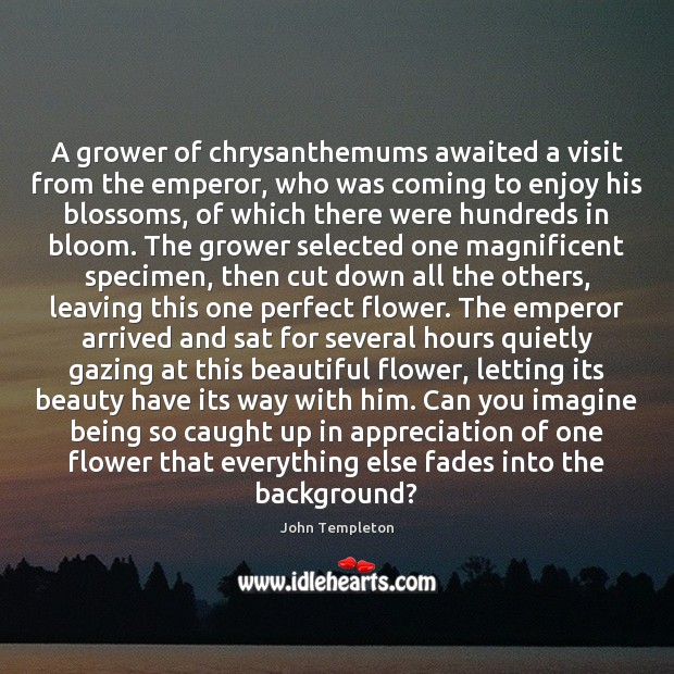 A grower of chrysanthemums awaited a visit from the emperor, who was John Templeton Picture Quote