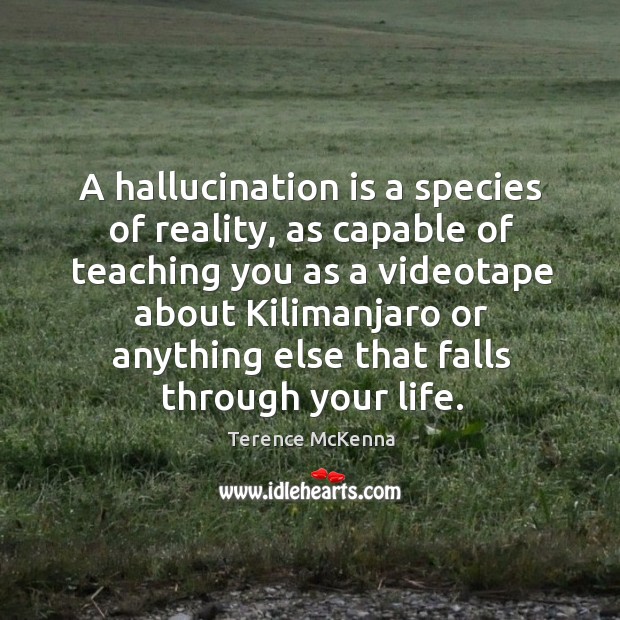 A hallucination is a species of reality, as capable of teaching you Terence McKenna Picture Quote