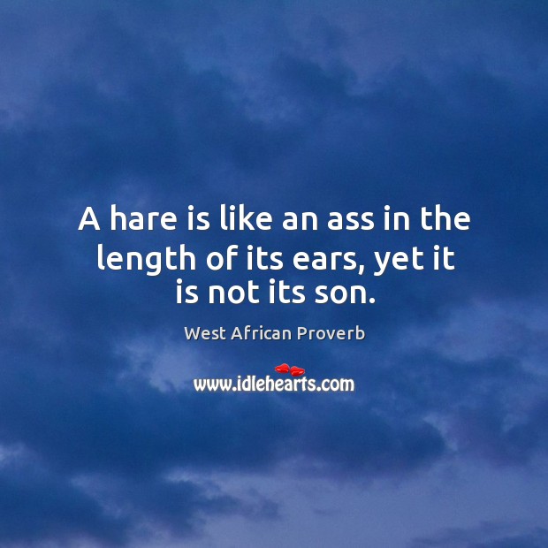 A hare is like an ass in the length of its ears, yet it is not its son. West African Proverbs Image