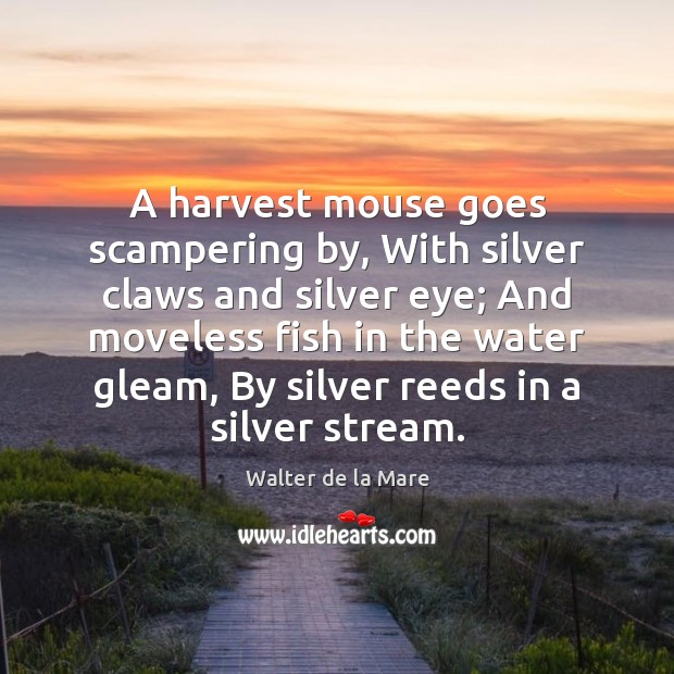 A harvest mouse goes scampering by, With silver claws and silver eye; Walter de la Mare Picture Quote