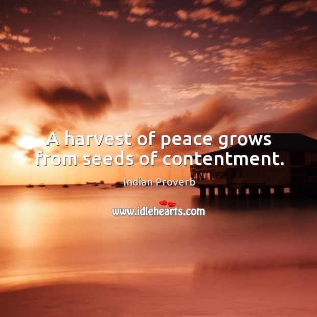 A harvest of peace grows from seeds of contentment. Indian Proverbs Image