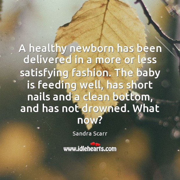 A healthy newborn has been delivered in a more or less satisfying Sandra Scarr Picture Quote