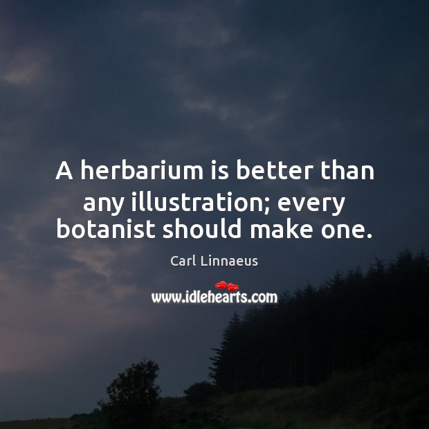 A herbarium is better than any illustration; every botanist should make one. Carl Linnaeus Picture Quote