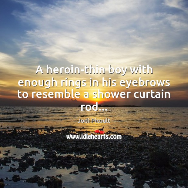 A heroin-thin boy with enough rings in his eyebrows to resemble a shower curtain rod… Jodi Picoult Picture Quote