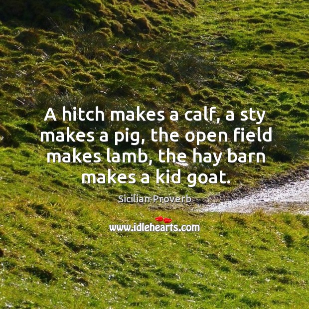 A hitch makes a calf, a sty makes a pig Sicilian Proverbs Image