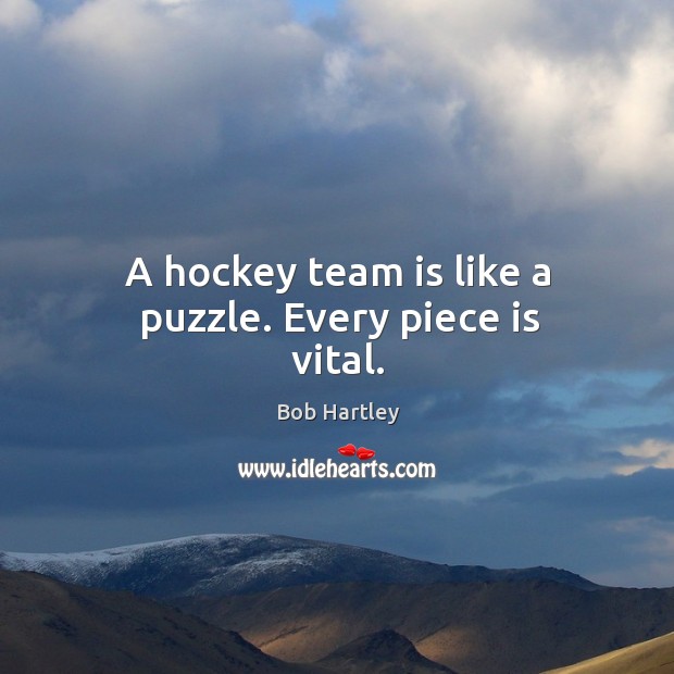 A hockey team is like a puzzle. Every piece is vital. Image