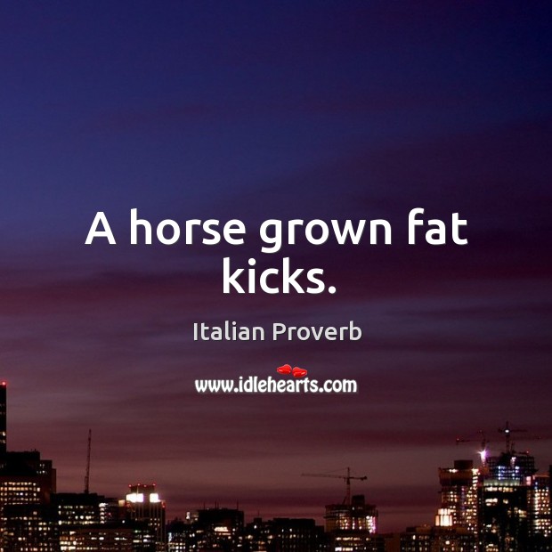 A horse grown fat kicks. Image