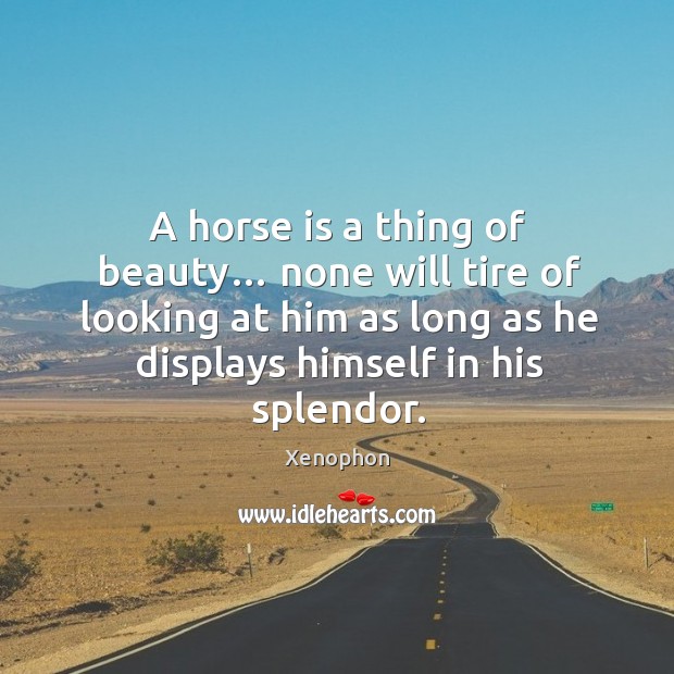 A horse is a thing of beauty… none will tire of looking at him as long as he displays himself in his splendor. Xenophon Picture Quote