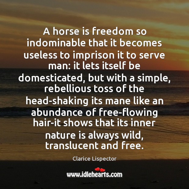 A horse is freedom so indominable that it becomes useless to imprison Image