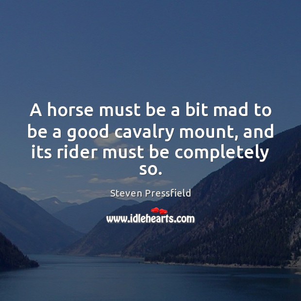 A horse must be a bit mad to be a good cavalry mount, and its rider must be completely so. Image