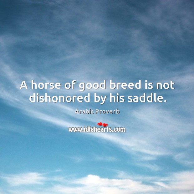 A horse of good breed is not dishonored by his saddle. Image