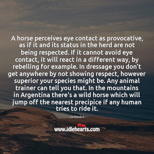 A horse perceives eye contact as provocative, as if it and its Jo Nesbo Picture Quote