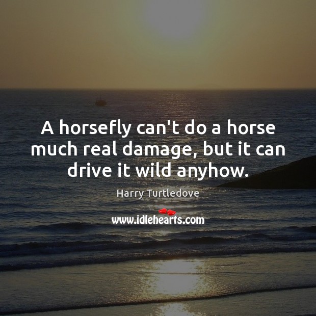A horsefly can’t do a horse much real damage, but it can drive it wild anyhow. Harry Turtledove Picture Quote