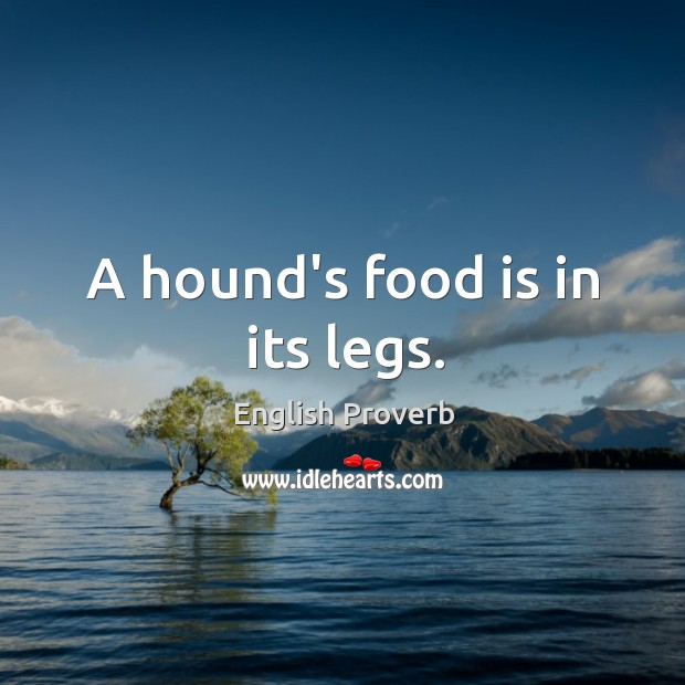 A hound’s food is in its legs. Image