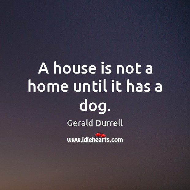 A house is not a home until it has a dog. Gerald Durrell Picture Quote