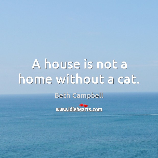 A house is not a home without a cat. Image