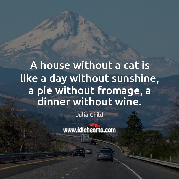 A house without a cat is like a day without sunshine, a Julia Child Picture Quote