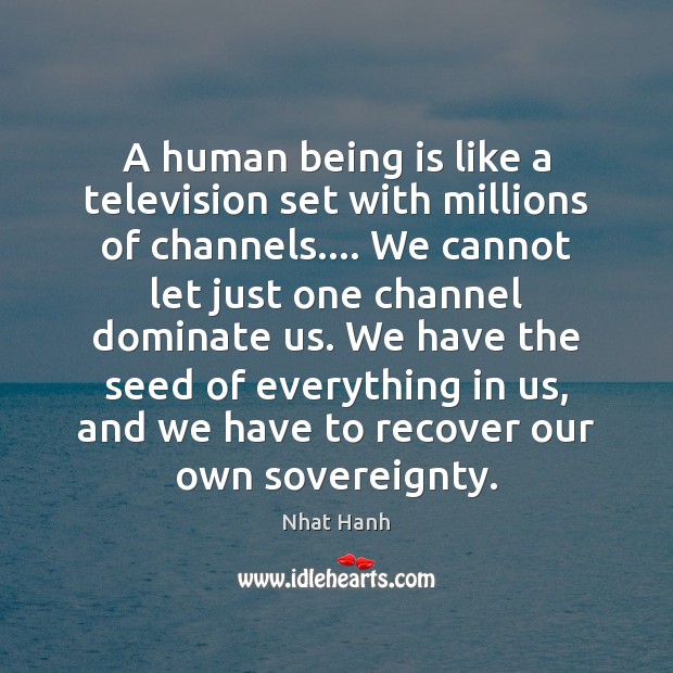 A human being is like a television set with millions of channels…. Nhat Hanh Picture Quote