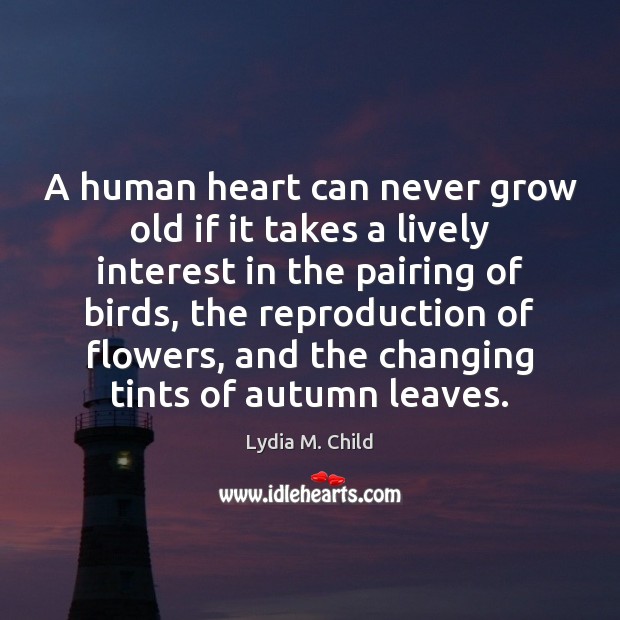 A human heart can never grow old if it takes a lively Lydia M. Child Picture Quote