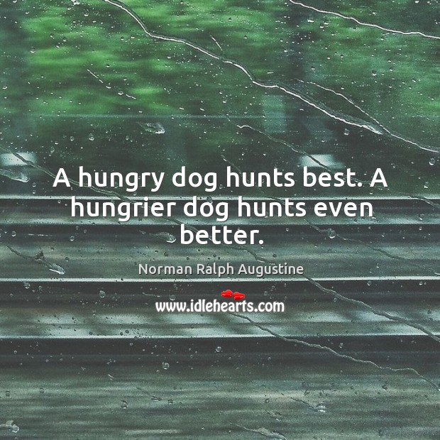 A hungry dog hunts best. A hungrier dog hunts even better. Norman Ralph Augustine Picture Quote