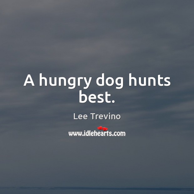 A hungry dog hunts best. Image