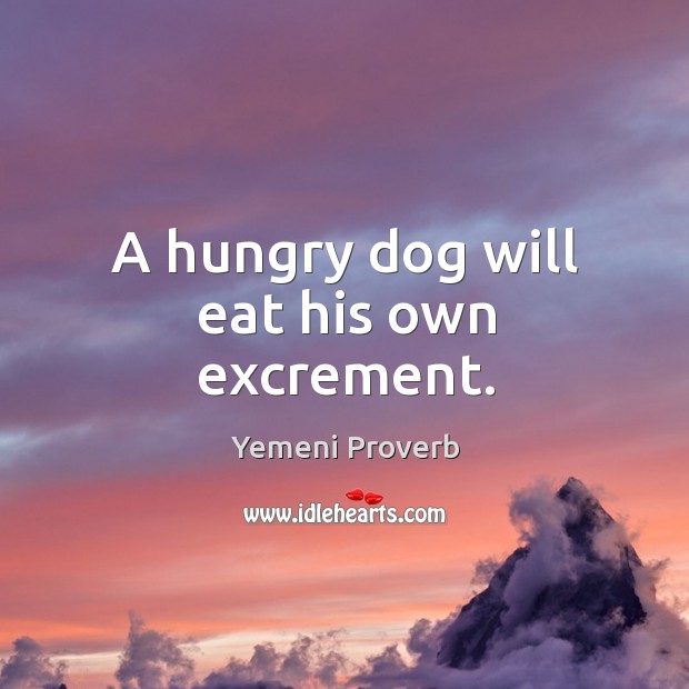 A hungry dog will eat his own excrement. Yemeni Proverbs Image