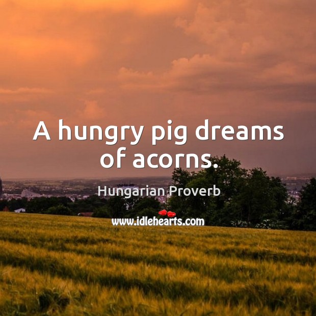 A hungry pig dreams of acorns. Image