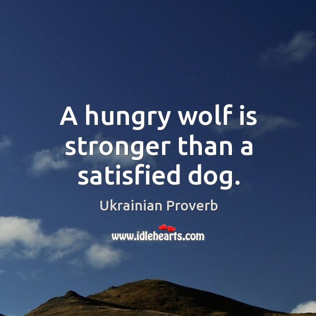 A hungry wolf is stronger than a satisfied dog. Ukrainian Proverbs Image