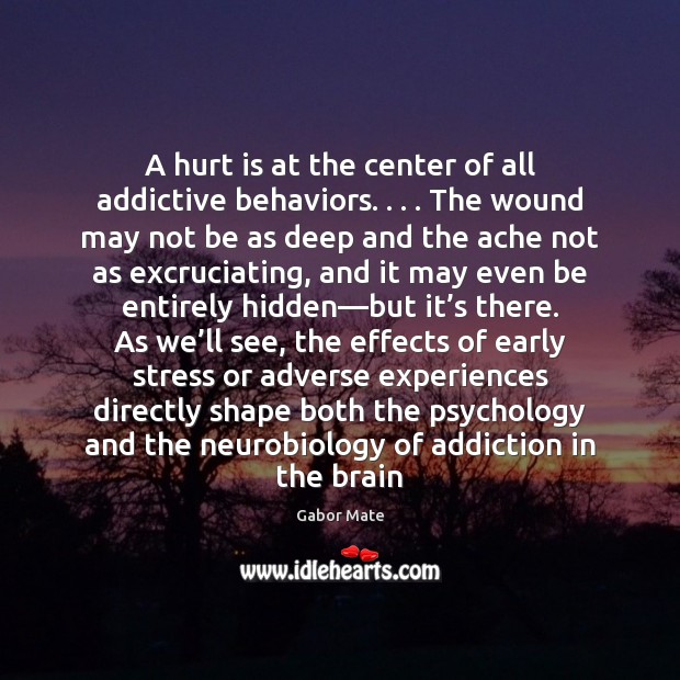 A hurt is at the center of all addictive behaviors. . . . The wound Gabor Mate Picture Quote