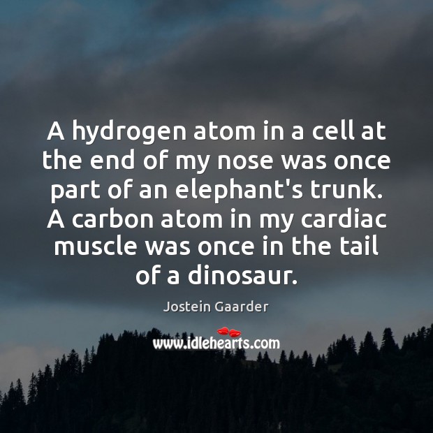A hydrogen atom in a cell at the end of my nose Jostein Gaarder Picture Quote