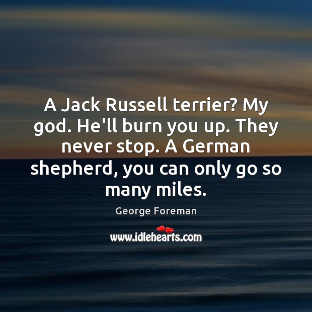 A Jack Russell terrier? My God. He’ll burn you up. They never George Foreman Picture Quote