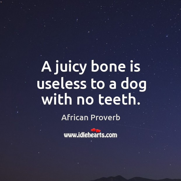 A juicy bone is useless to a dog with no teeth. Image