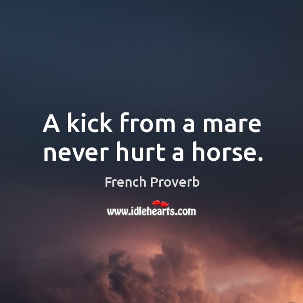 A kick from a mare never hurt a horse. Image