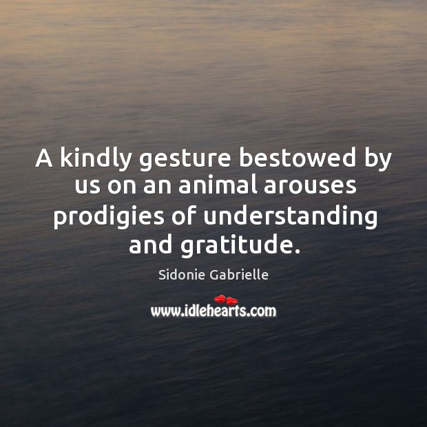 A kindly gesture bestowed by us on an animal arouses prodigies of understanding and gratitude. Sidonie Gabrielle Picture Quote