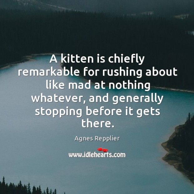 A kitten is chiefly remarkable for rushing about like mad at nothing whatever Agnes Repplier Picture Quote
