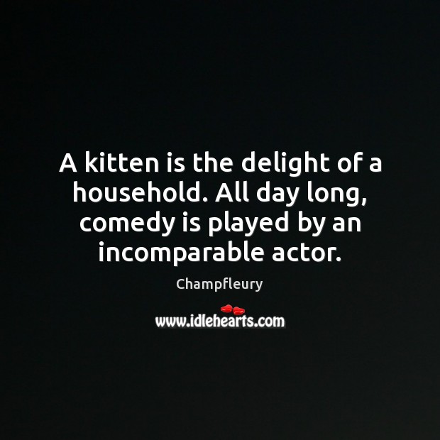 A kitten is the delight of a household. All day long, comedy Champfleury Picture Quote