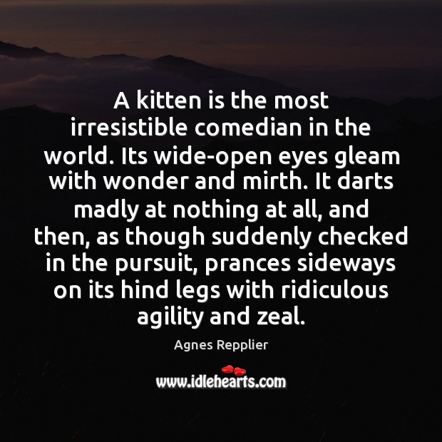 A kitten is the most irresistible comedian in the world. Its wide-open Agnes Repplier Picture Quote