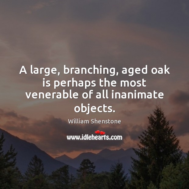 A large, branching, aged oak is perhaps the most venerable of all inanimate objects. William Shenstone Picture Quote