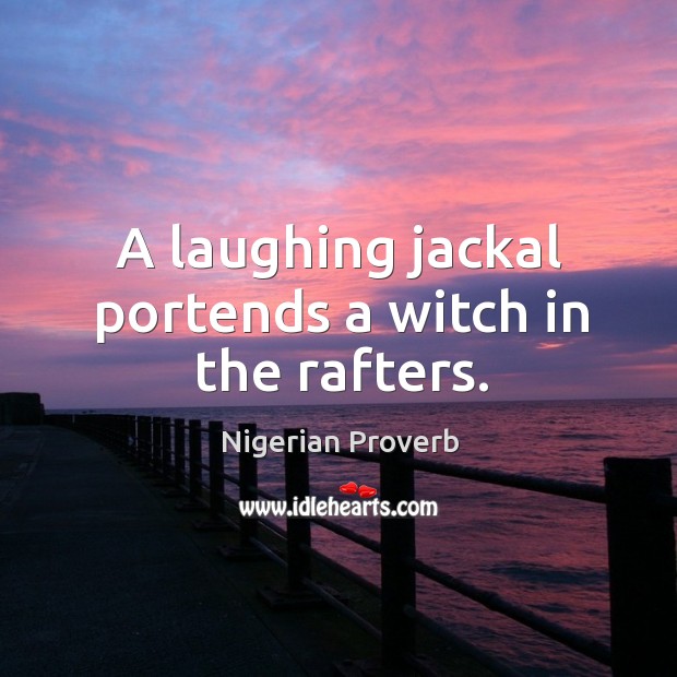 A laughing jackal portends a witch in the rafters. Nigerian Proverbs Image