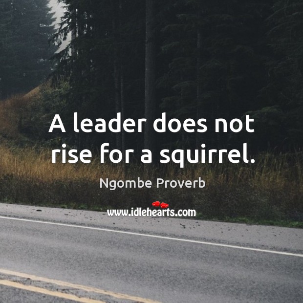 A leader does not rise for a squirrel. Ngombe Proverbs Image