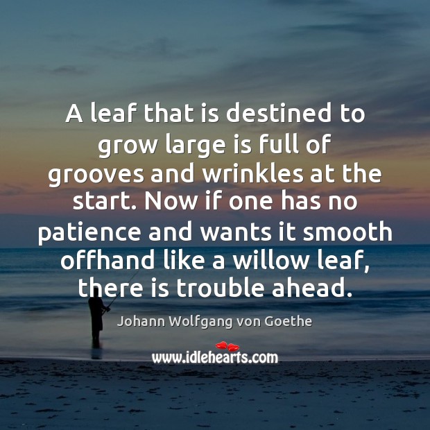 A leaf that is destined to grow large is full of grooves Johann Wolfgang von Goethe Picture Quote