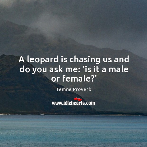 A leopard is chasing us and do you ask me: ‘is it a male or female?’ Image