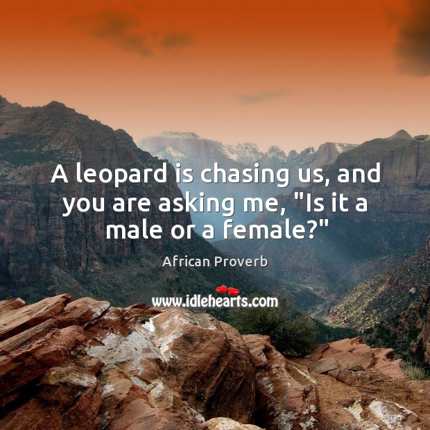 A leopard is chasing us, and you are asking me, “is it a male or a female?” African Proverbs Image