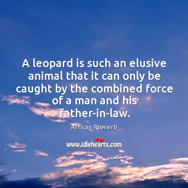 A leopard is such an elusive animal African Proverbs Image