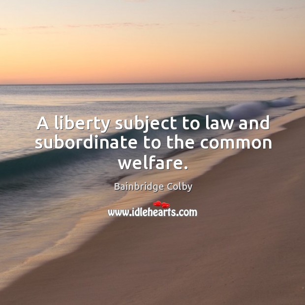 A liberty subject to law and subordinate to the common welfare. Bainbridge Colby Picture Quote