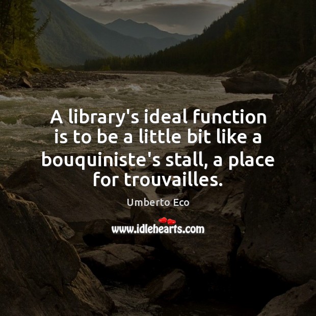 A library’s ideal function is to be a little bit like a Image