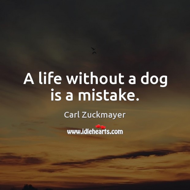 A life without a dog is a mistake. Image
