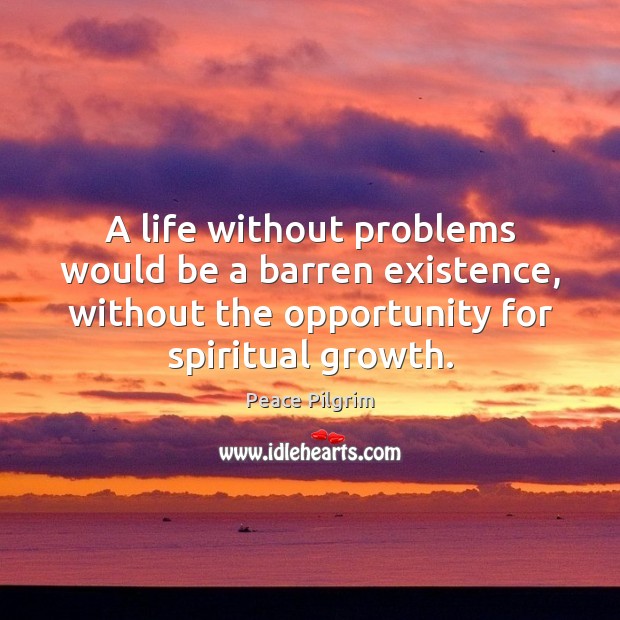 A life without problems would be a barren existence, without the opportunity Peace Pilgrim Picture Quote